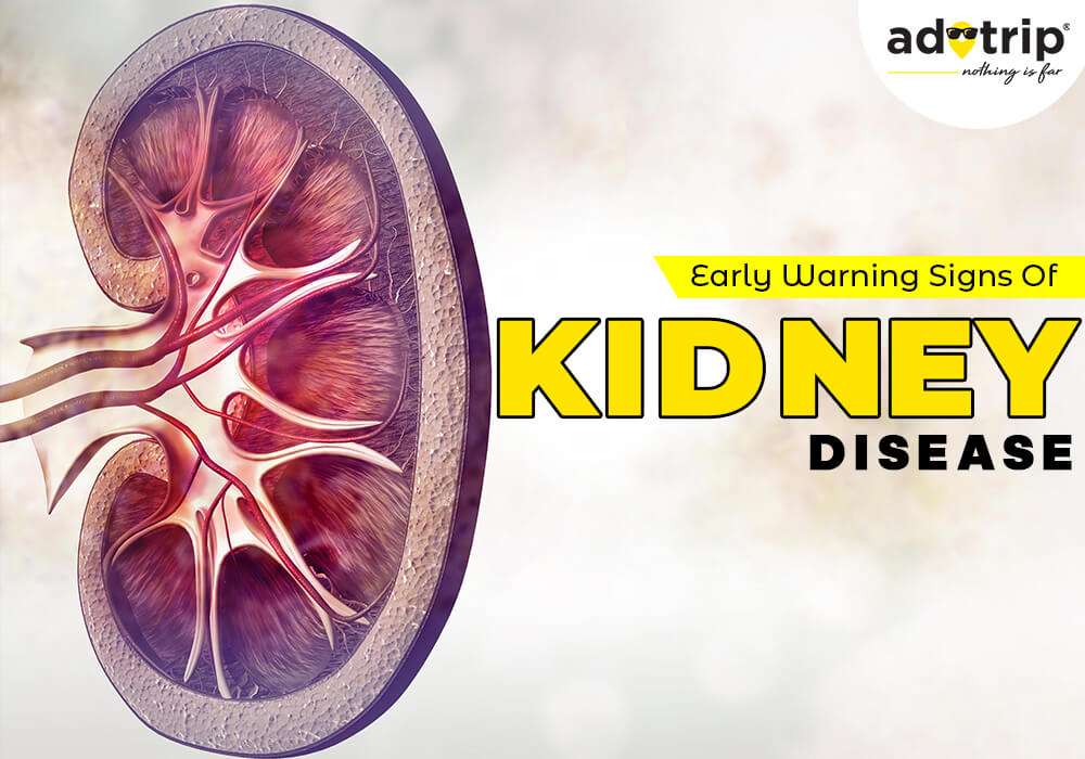 Early Warning Signs Of Kidney Disease